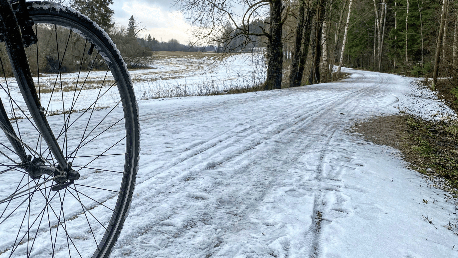 How To Get The Most Out of Cycling in Winter